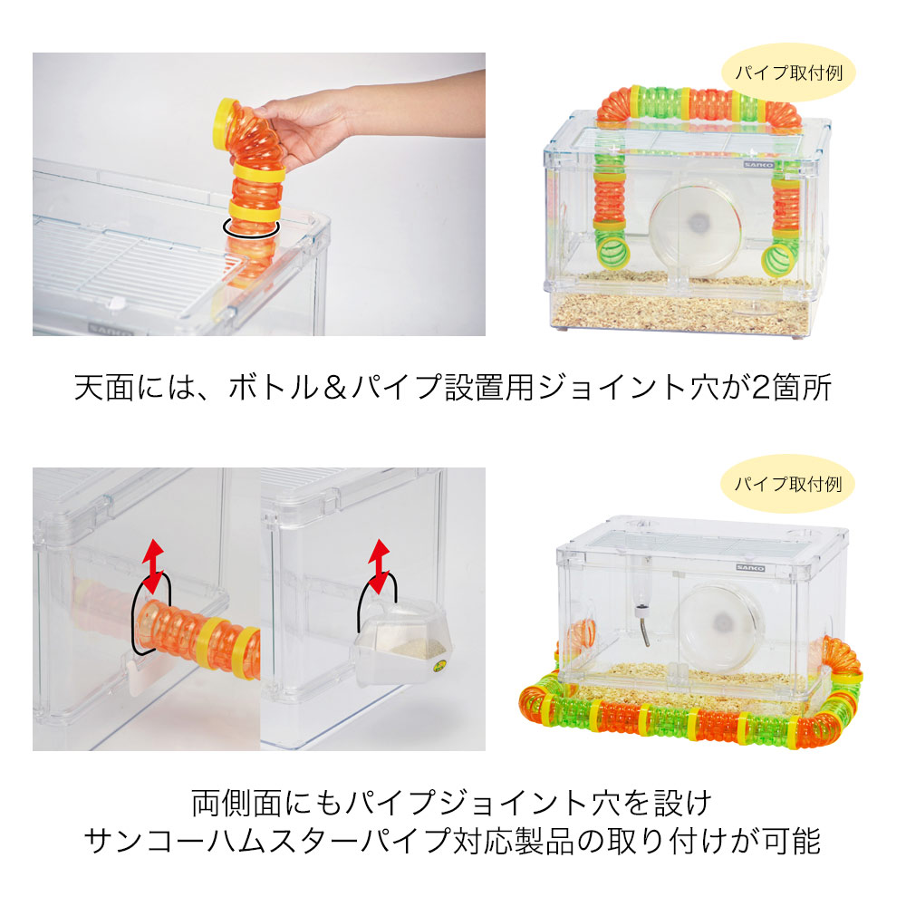 楽天市場】【3／1限定】当選確率2分の1！1等最大100