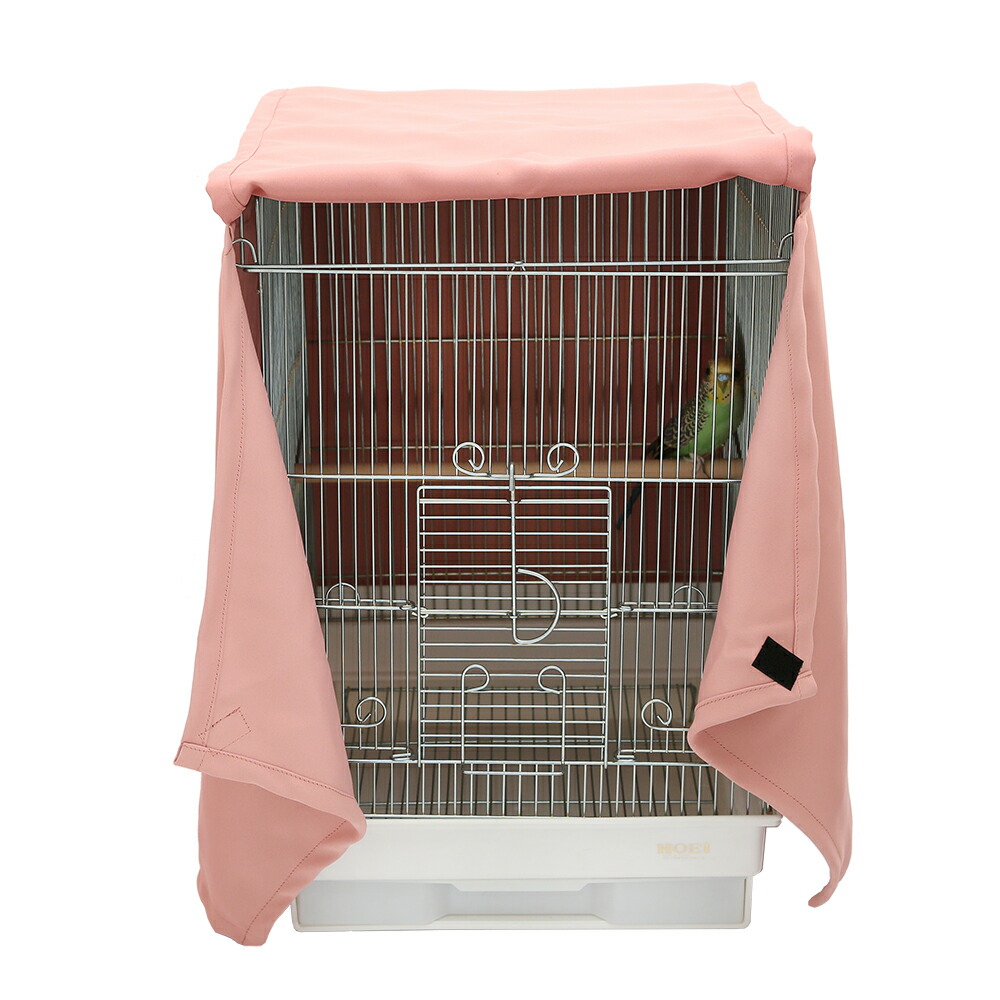 楽天市場】【3／1限定】当選確率2分の1！1等最大100