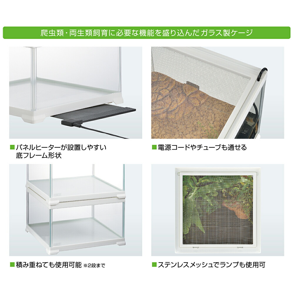 楽天市場】爬虫類ケージ GEX レプテリア ホワイト 300キューブ