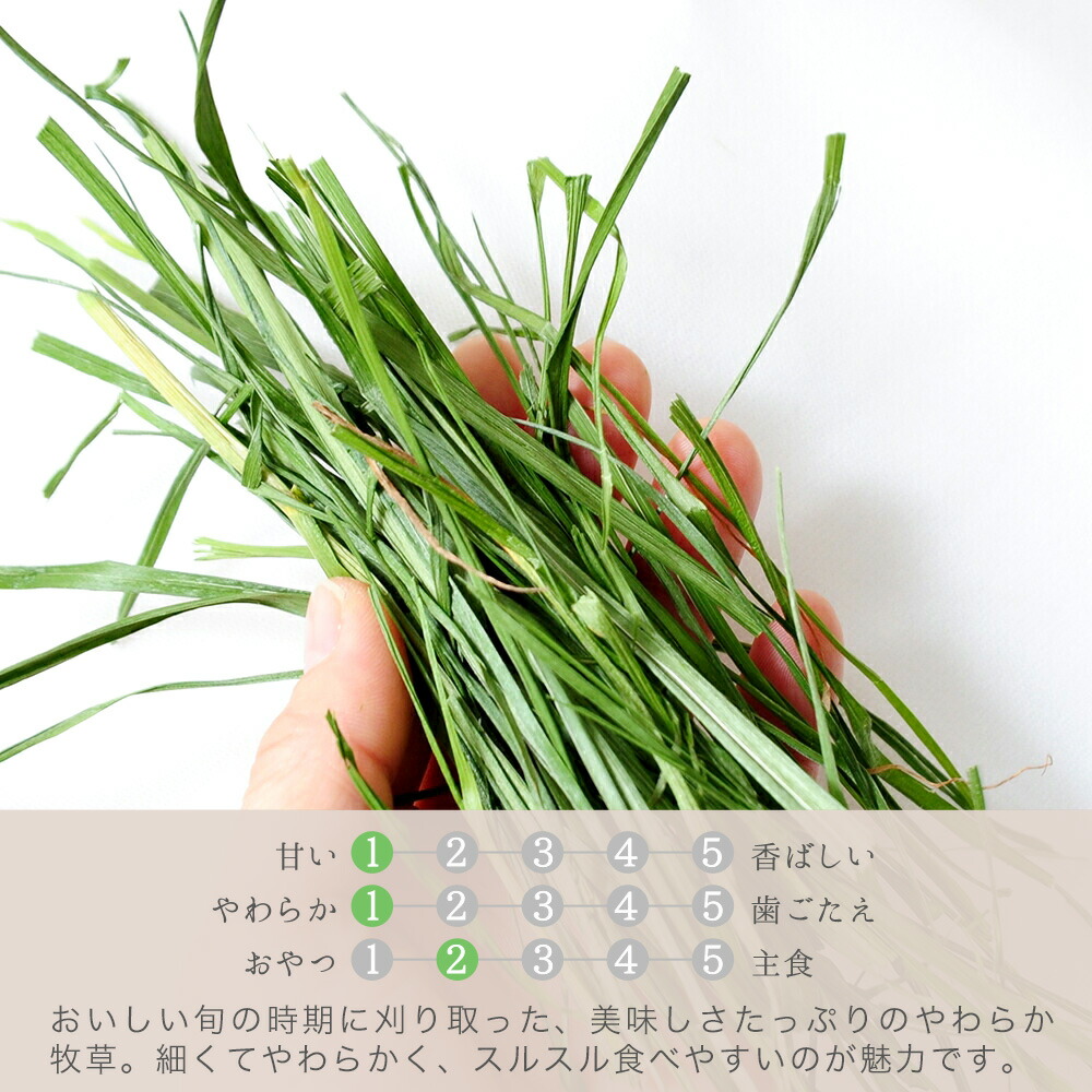 楽天市場】令和7年産 国産牧草 旬のやわらかイタリアンライグラス
