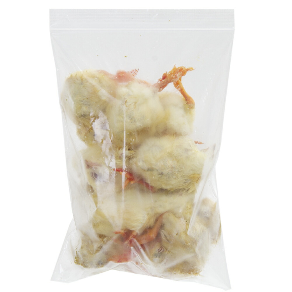 楽天市場】冷凍☆富城 ヒヨコ（10羽） 冷凍ヒヨコ 別途クール手数料