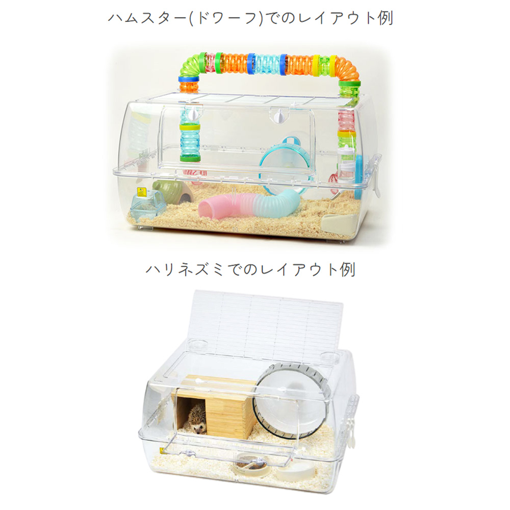 楽天市場】【3／1限定】当選確率2分の1！1等最大100