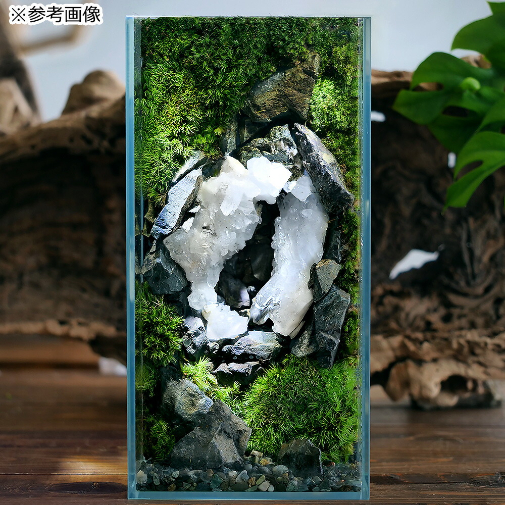 楽天市場】形状お任せ レッドジャスパー（赤碧玉） 100g 鉱物 鉱石