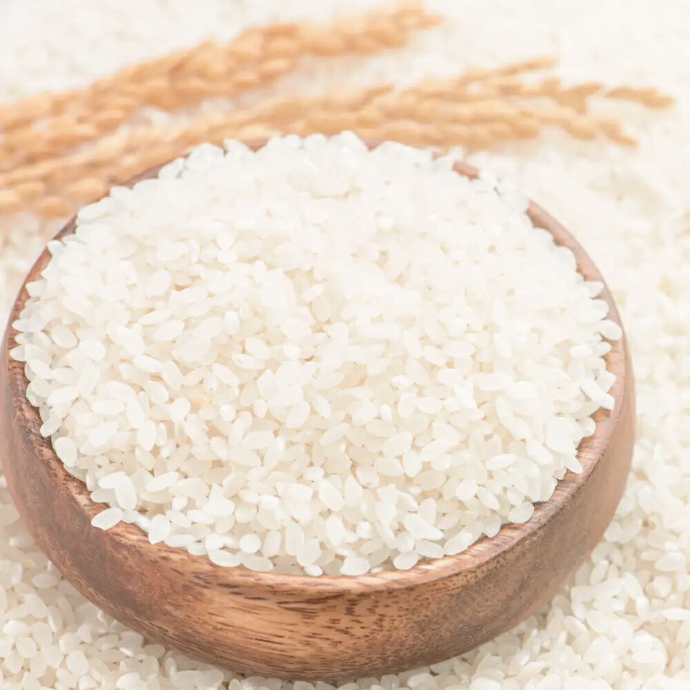 楽天市場】＜2024年リニューアル＞ 桑の葉美人 青汁(抹茶風味) 正規品