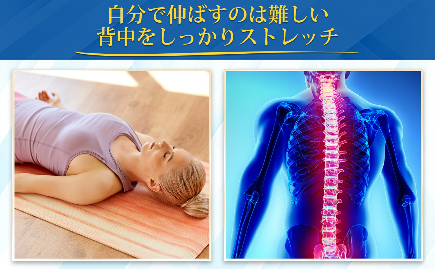 楽天市場】【シリーズ累計販売10万個突破！】 背中 肩甲骨 猫背 姿勢