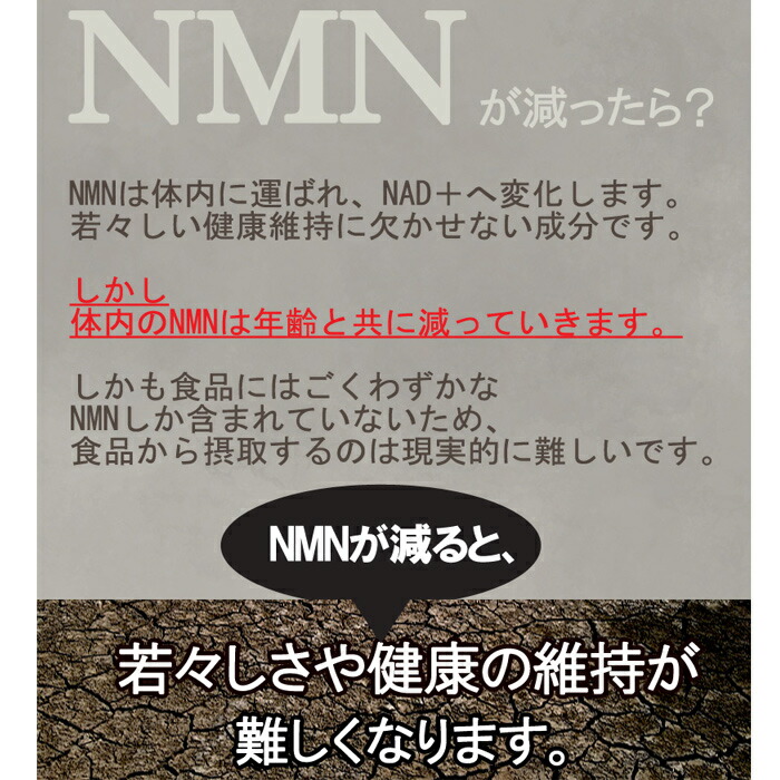 楽天市場】NMNパウダー10g NMN10000mg分 ニコチンアミドモノ