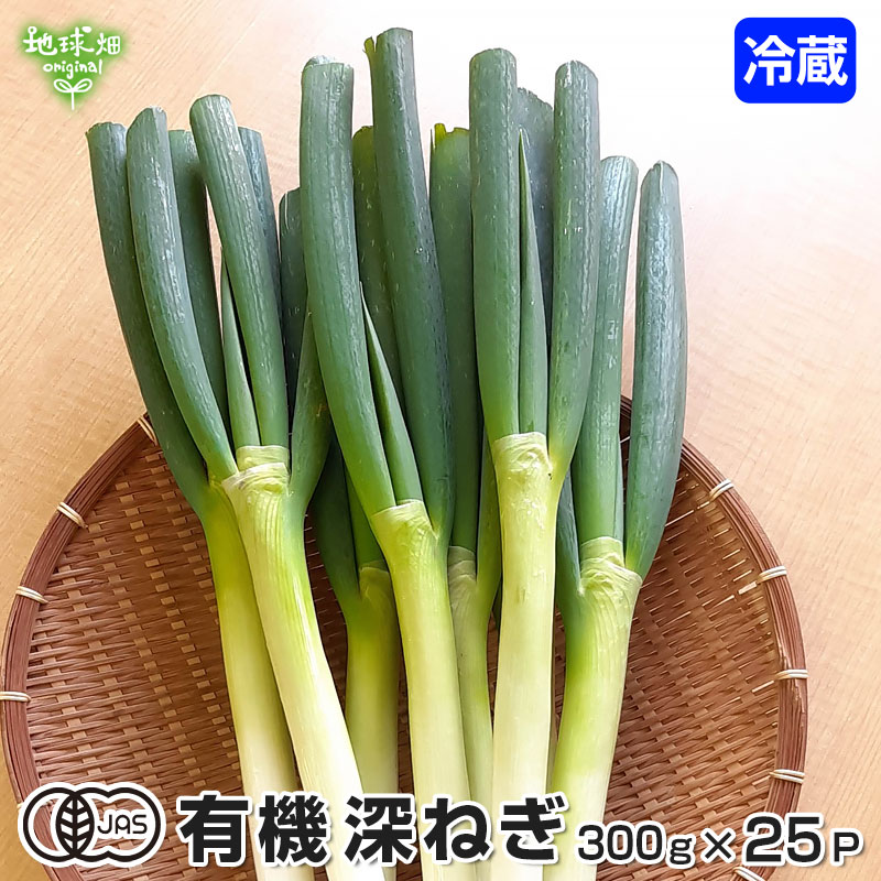 楽天市場】深ねぎ 300g×25P 有機栽培 冷蔵便 有機JAS 鹿児島県産 宮崎