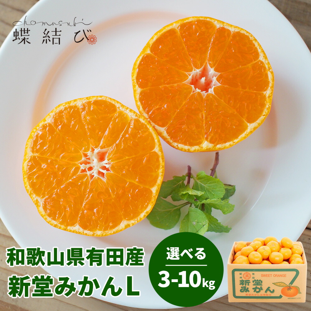楽天市場】【11月末以降お届け】 新堂みかん Lサイズ 選べる 3kg 5kg