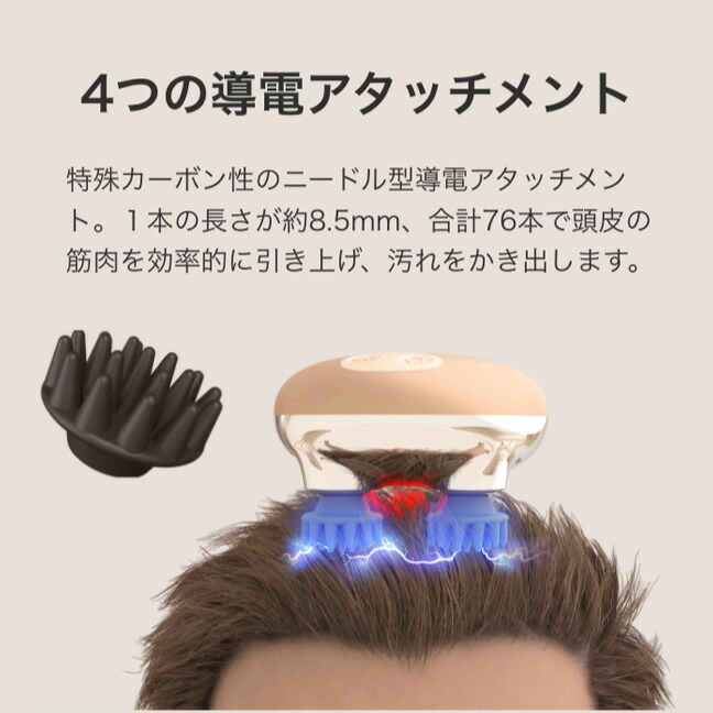 楽天市場】【正規品販売店・送料無料】ゾーガンキン スカルプ CL-ZKS