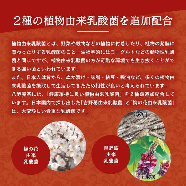 楽天市場】はつらつ堂 八酵麗茶 96包 : Chronus - クロノス