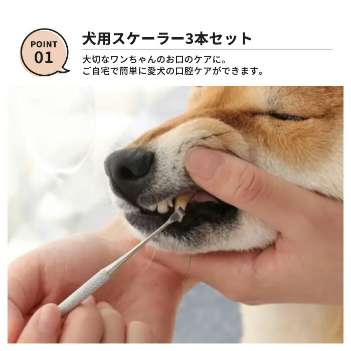 楽天市場】犬 スケーラー 歯石取り ペンチ 器具 ペット用 デンタルケア