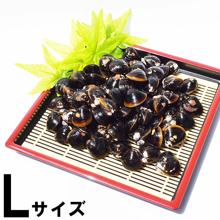 楽天市場】しじみ 冷凍 L 宍道湖産 シジミ 砂抜き済み 1kg 2kg 3kg