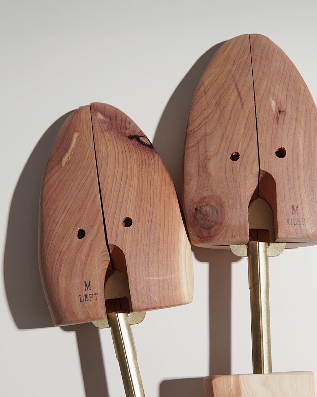 楽天市場】コロニル Collonil アロマティック シーダー シュー