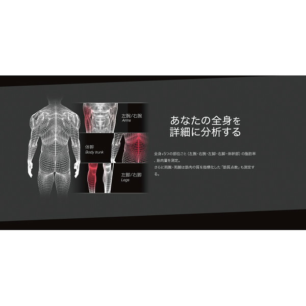 楽天市場】タニタ 左右部位別体組成計 インナースキャンデュアル RD