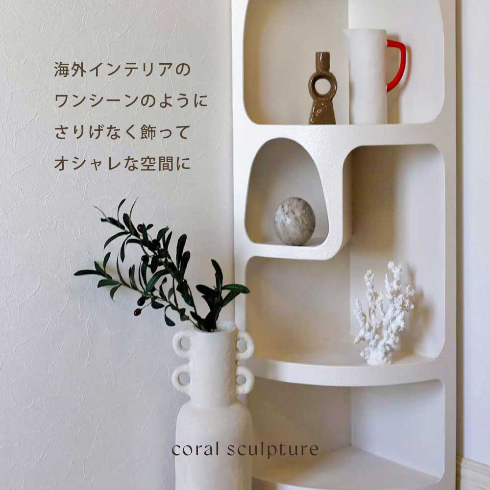 楽天市場】【限定入荷】Coast to Coast オーストラリア直輸入 サンゴ