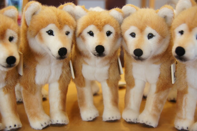 楽天市場】【在庫あり】Kosen ケーセン ドイツ製 ぬいぐるみ 柴犬