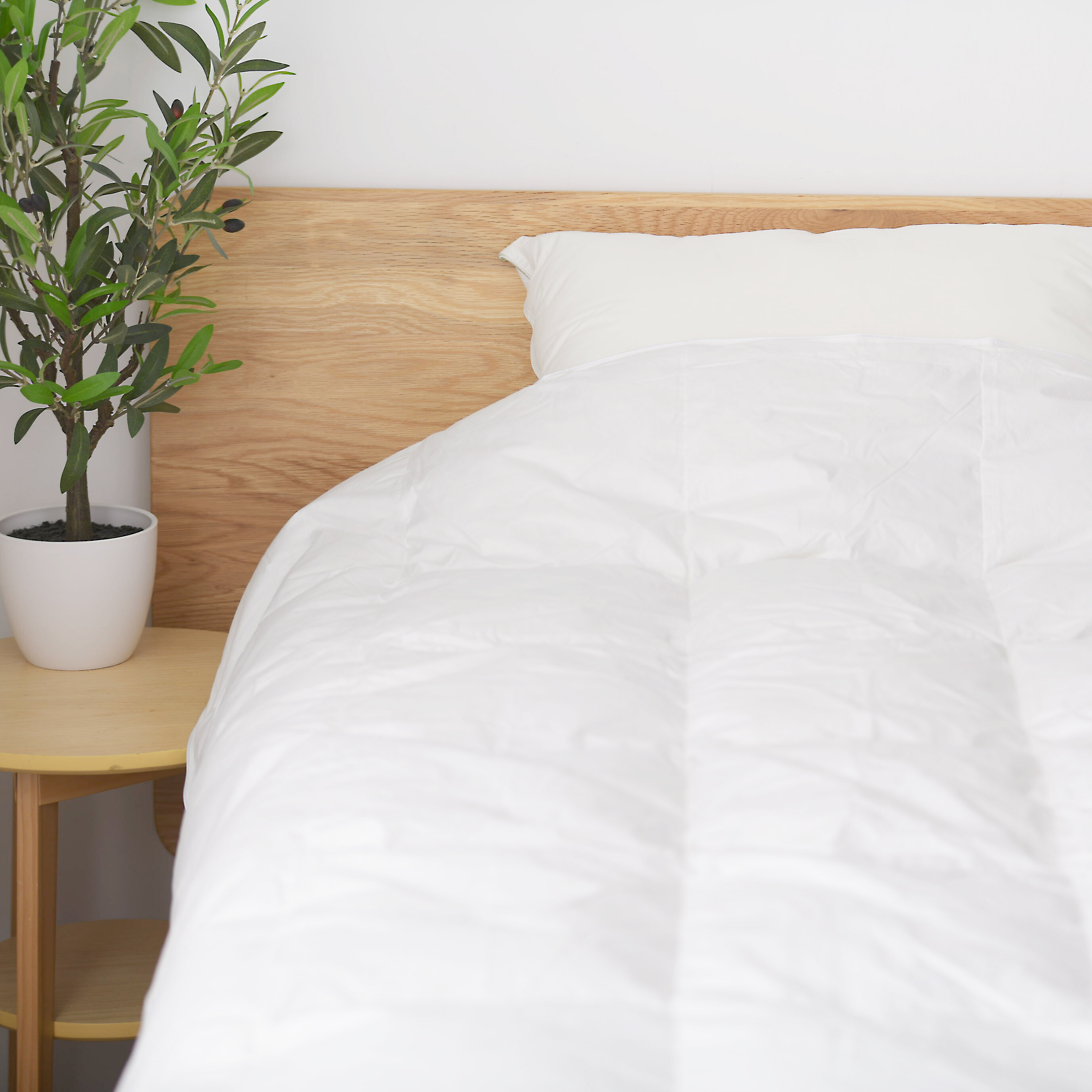 楽天市場】Dykon リングステッドロイヤル Ringsted Royal 肌掛羽毛布団