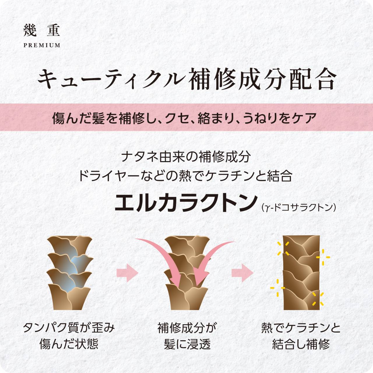 楽天市場】特製ギフトボックス IKUE 幾重 プレミアム シャンプー