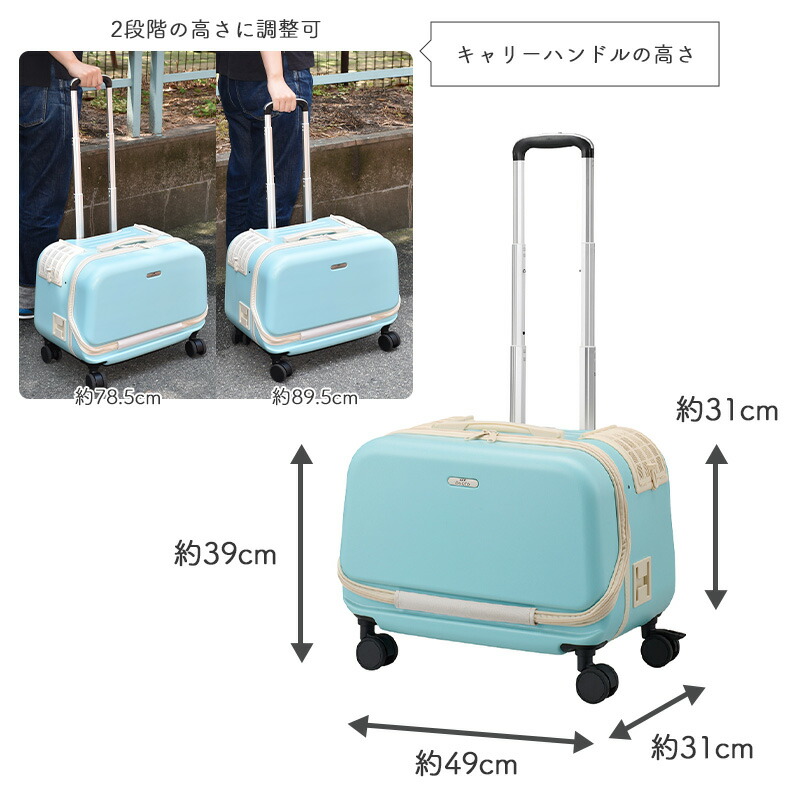 楽天市場】【0】 GEX OSOTO コロフィー M ミルク / モカ / アクア10kg