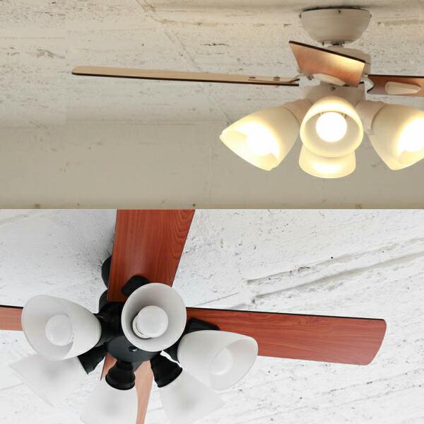 楽天市場】plusmoreシーリングファンWindouble6灯BIG-102[シーリング