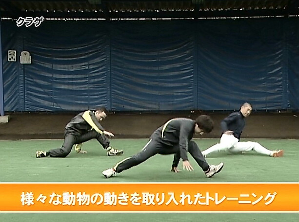 楽天市場】クリーチャートレーニング〜生き物の動作が選手の体を活性化