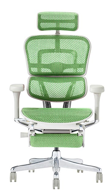 楽天市場】2025年新型 レビュー特典あり エルゴヒューマン プロ2