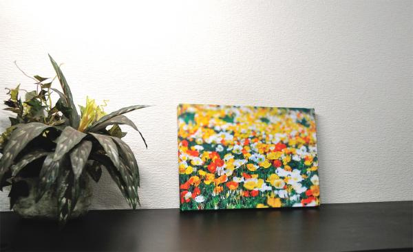 楽天市場】壁掛けアート アートパネル 風景画 写真 P3 ポピー 花畑