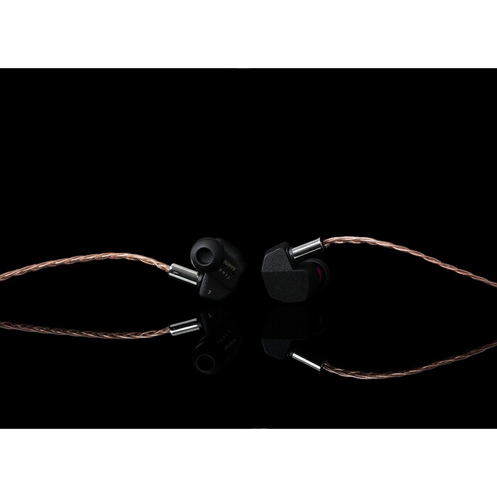 楽天市場】final A6000 有線 イヤホン カナル型 耳かけ型 シュア掛け