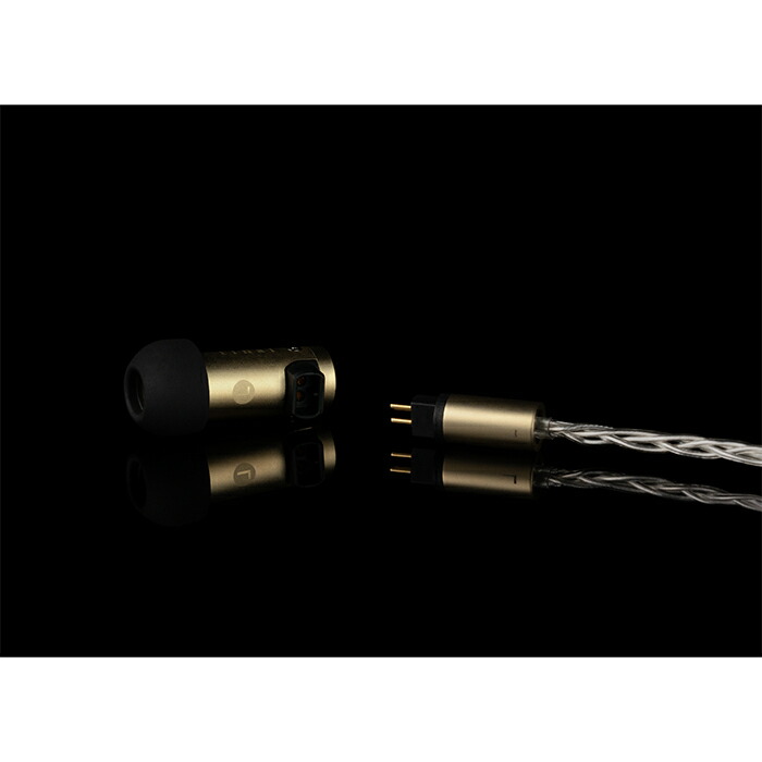 楽天市場】final S5000 有線 イヤホン カナル型 リケーブル対応 2pin