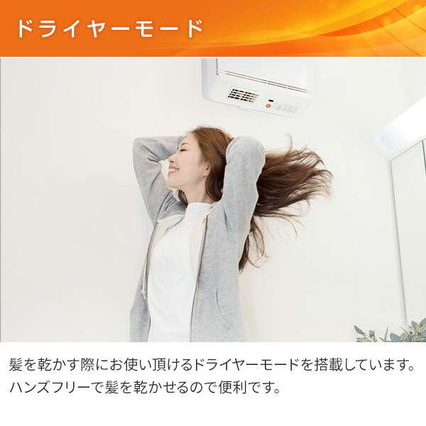 楽天市場】ヒーター 壁掛式 脱衣所温風ヒーター (温風/送風切替