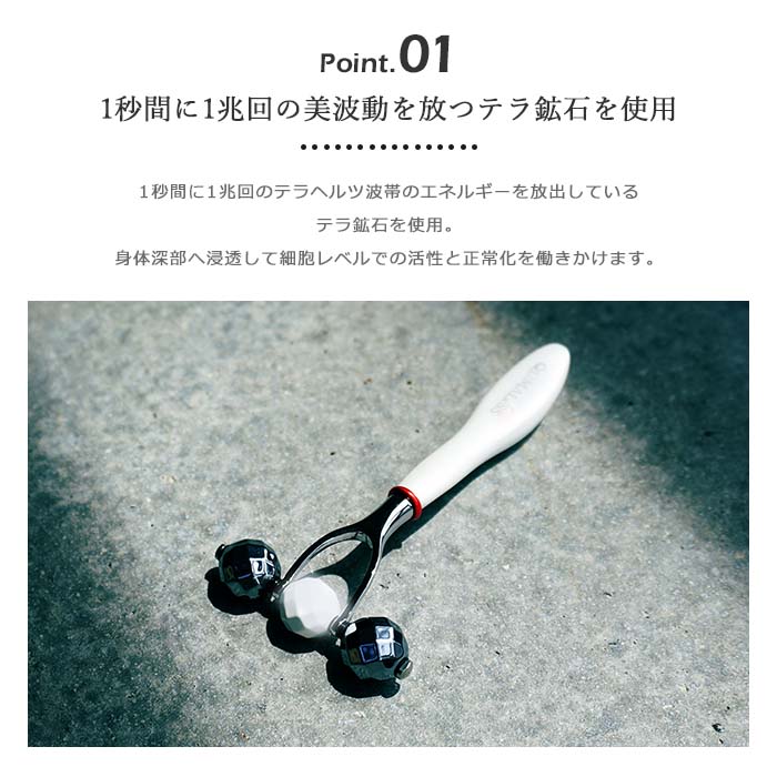 楽天市場】【ポイント20倍】＼正規販売店／《SHINBISHIN/SKJ》TERAPIST