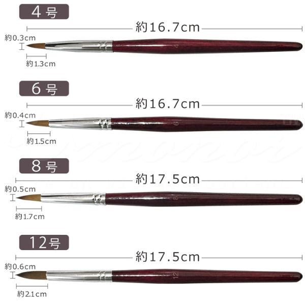 楽天市場】スカルプエース アクリルパウダー スカルプブラシ ネイル