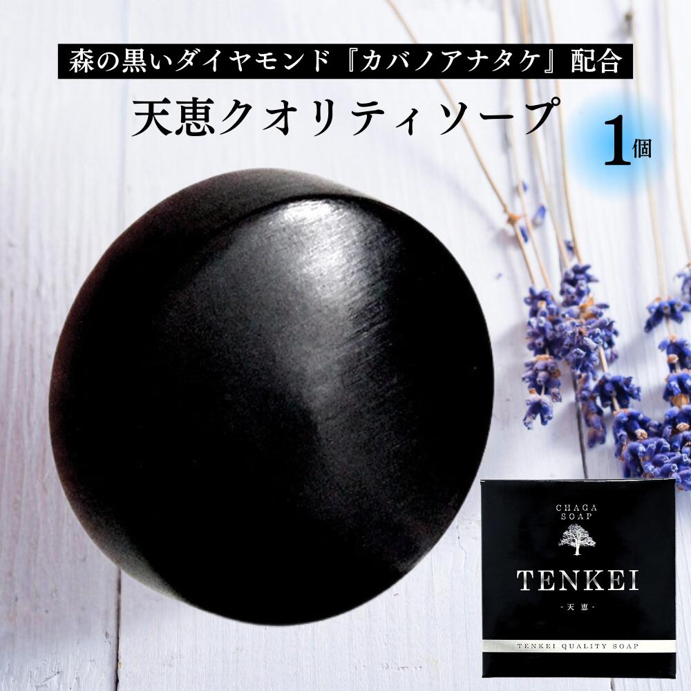 楽天市場】【楽天ランキング10冠達成】 天恵クオリティソープ 80g