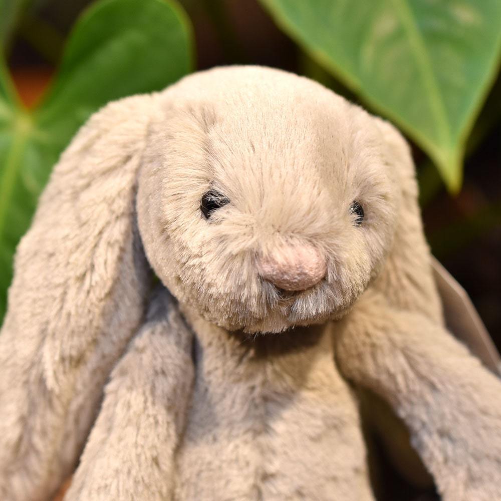 楽天市場】【正規販売代理店】【選べるラッピング】 Jellycat Bashful