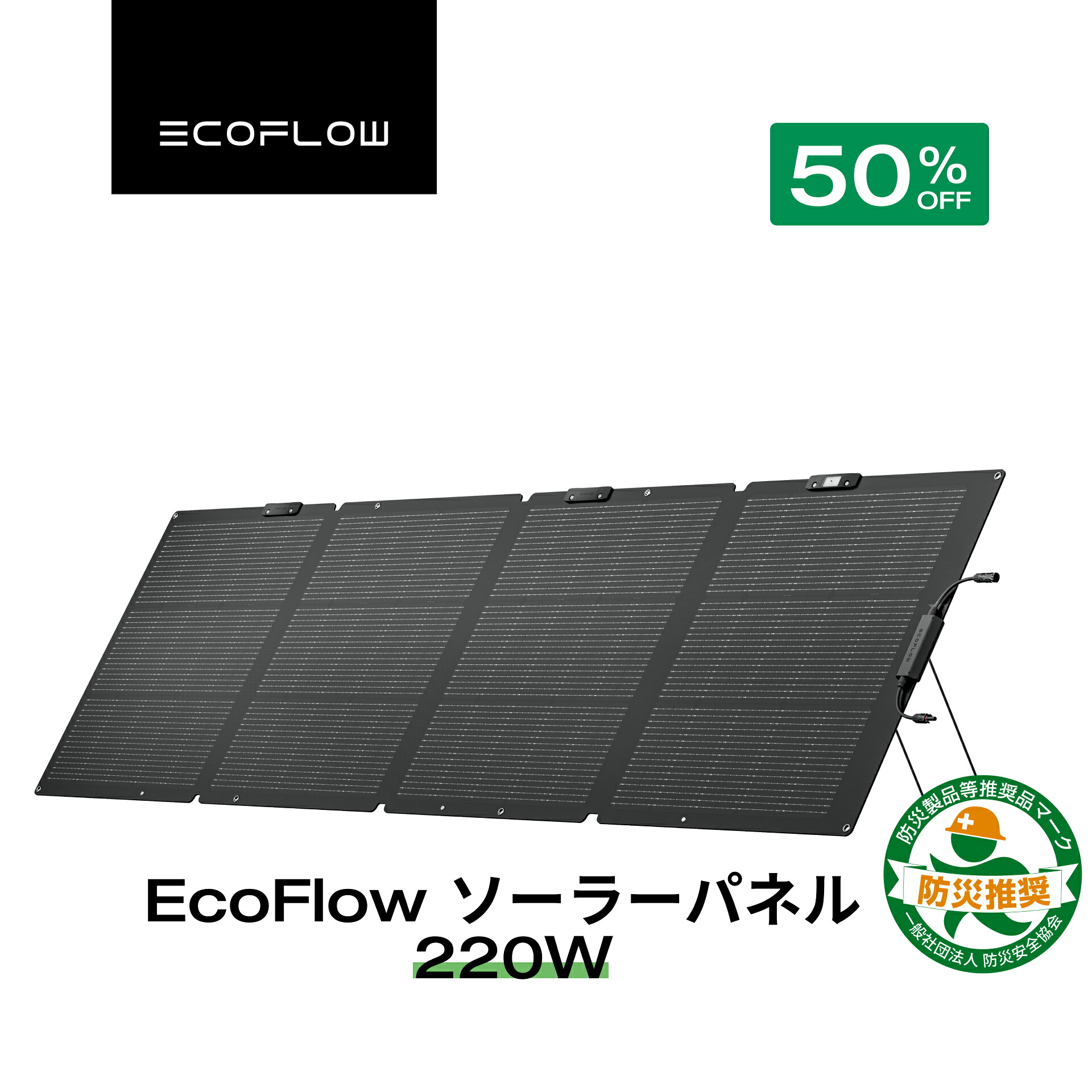 楽天市場】【クーポン利用で34,650円☆2/28~特別セール】EcoFlow