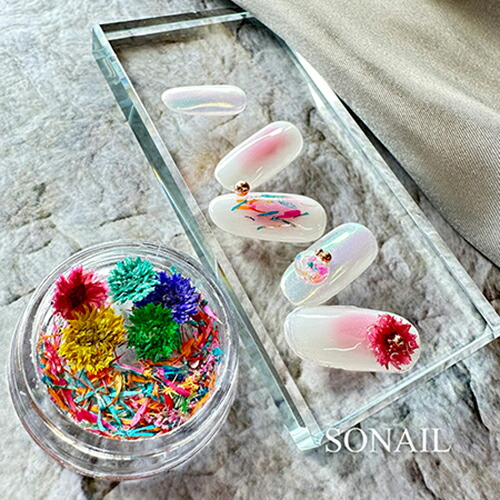 楽天市場】ソネイル SONAIL ドライフラワーネイル 2g 【2種類からご