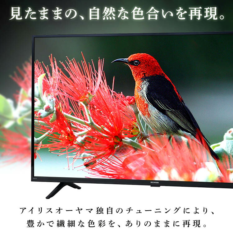 楽天市場】テレビ 32型 32インチ アイリスオーヤマ TV 送料無料 W