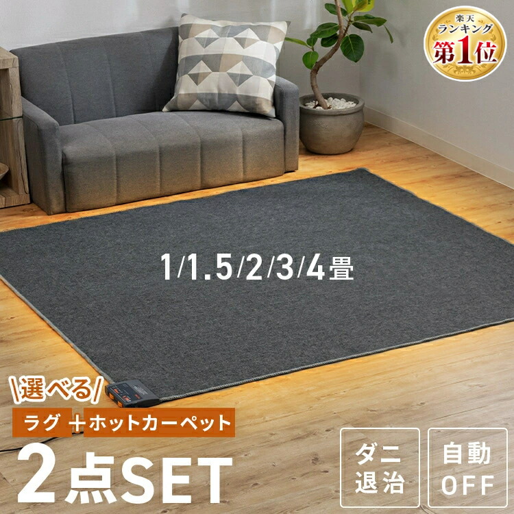 Takada ホットカーペット TB-1033 ベージュ2枚 セット Takada ホット