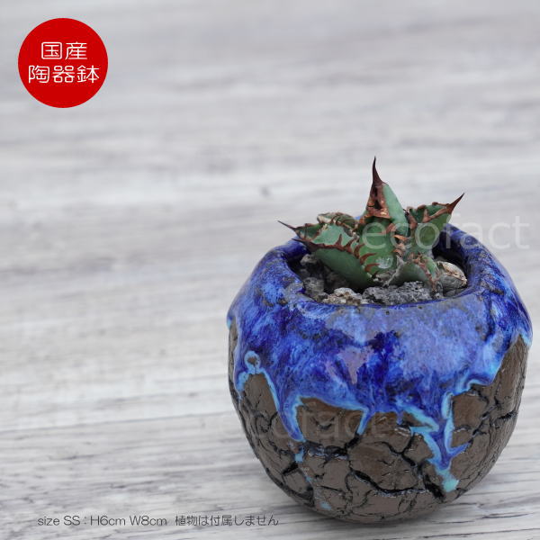 楽天市場】陶器鉢 植木鉢 ミニポット 底穴あり 丸型 オーシャン