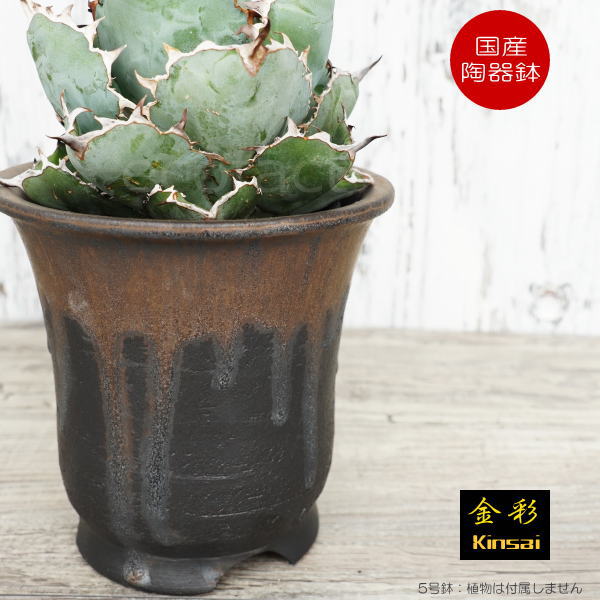 楽天市場】陶器鉢 植木鉢 底穴あり 5号高脚スリム 金彩 ブラック