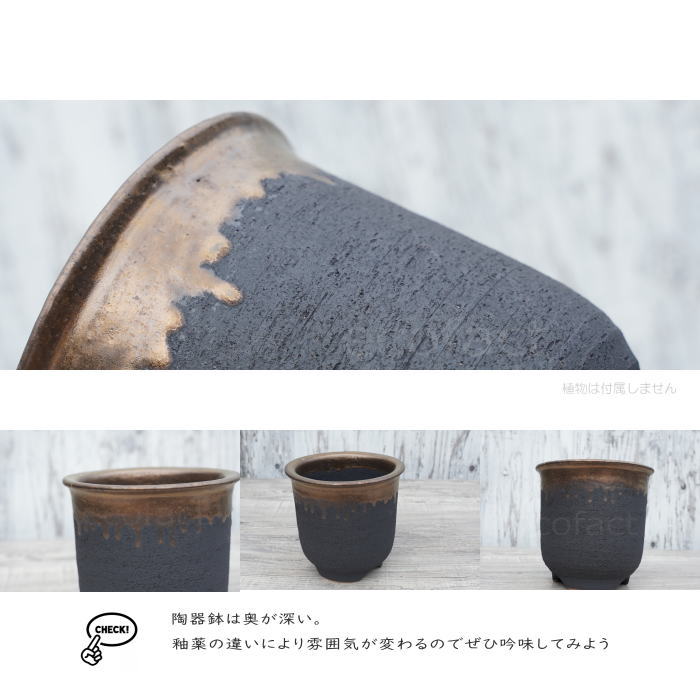 楽天市場】陶器鉢 植木鉢 5号 底穴あり 金彩 高鉢 H14cm ブラック