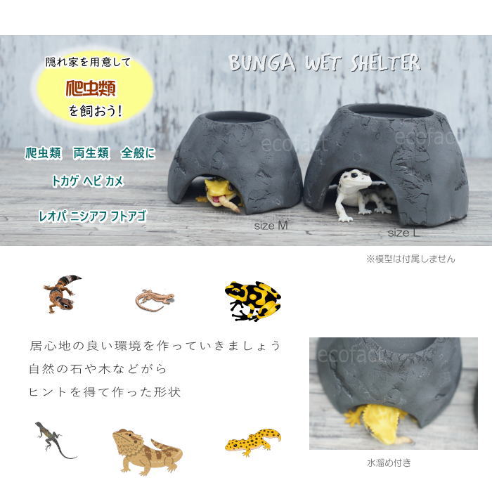 楽天市場】爬虫類 ウェット シェルター レオパ ブラック Mサイズ 黒無