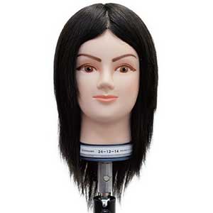 楽天市場】国家試験 カットウィッグの通販