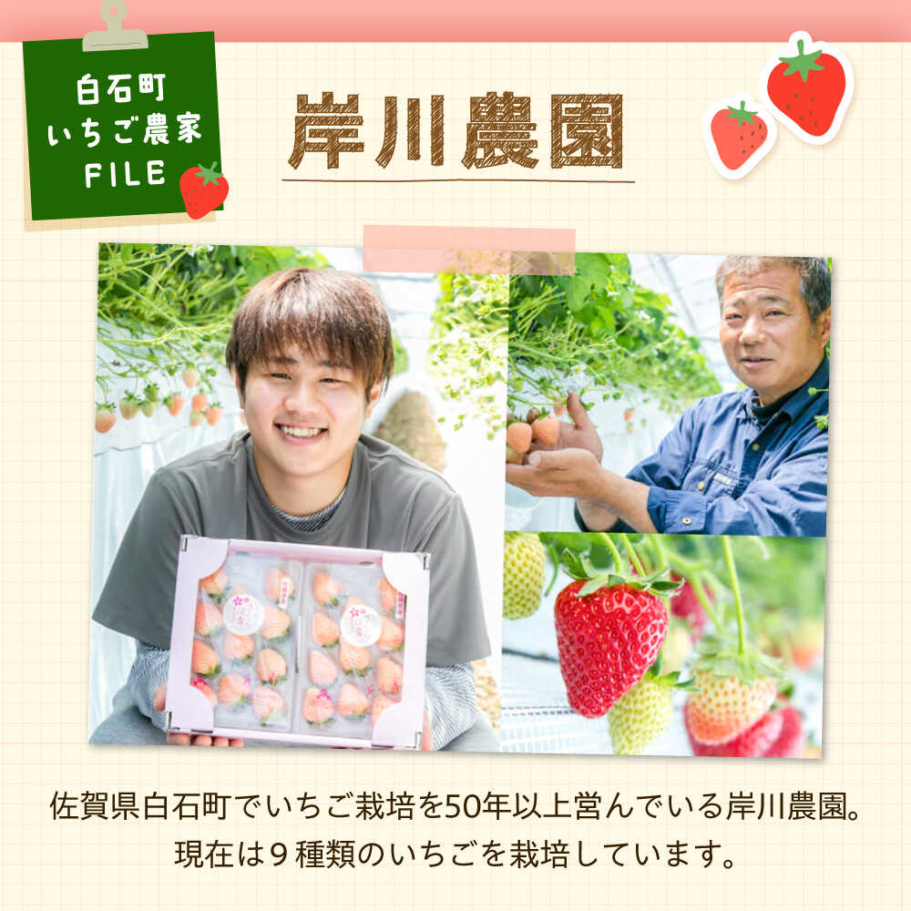 楽天市場】【ふるさと納税】【スピード発送】【農家直送】ほんのり