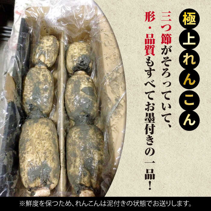 楽天市場】【ふるさと納税】【2026年1月以降発送】大切な人へのギフト