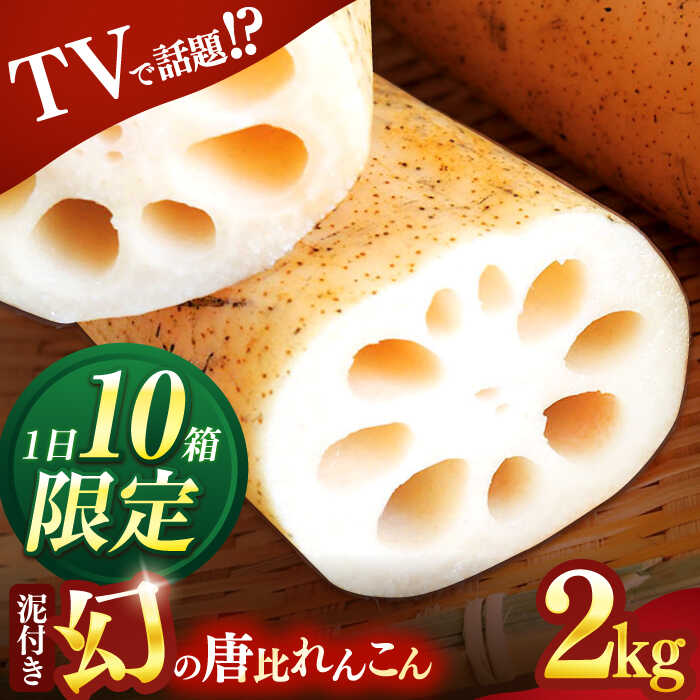 楽天市場】【ふるさと納税】幻の唐比れんこん 2kg / れんこん レンコン