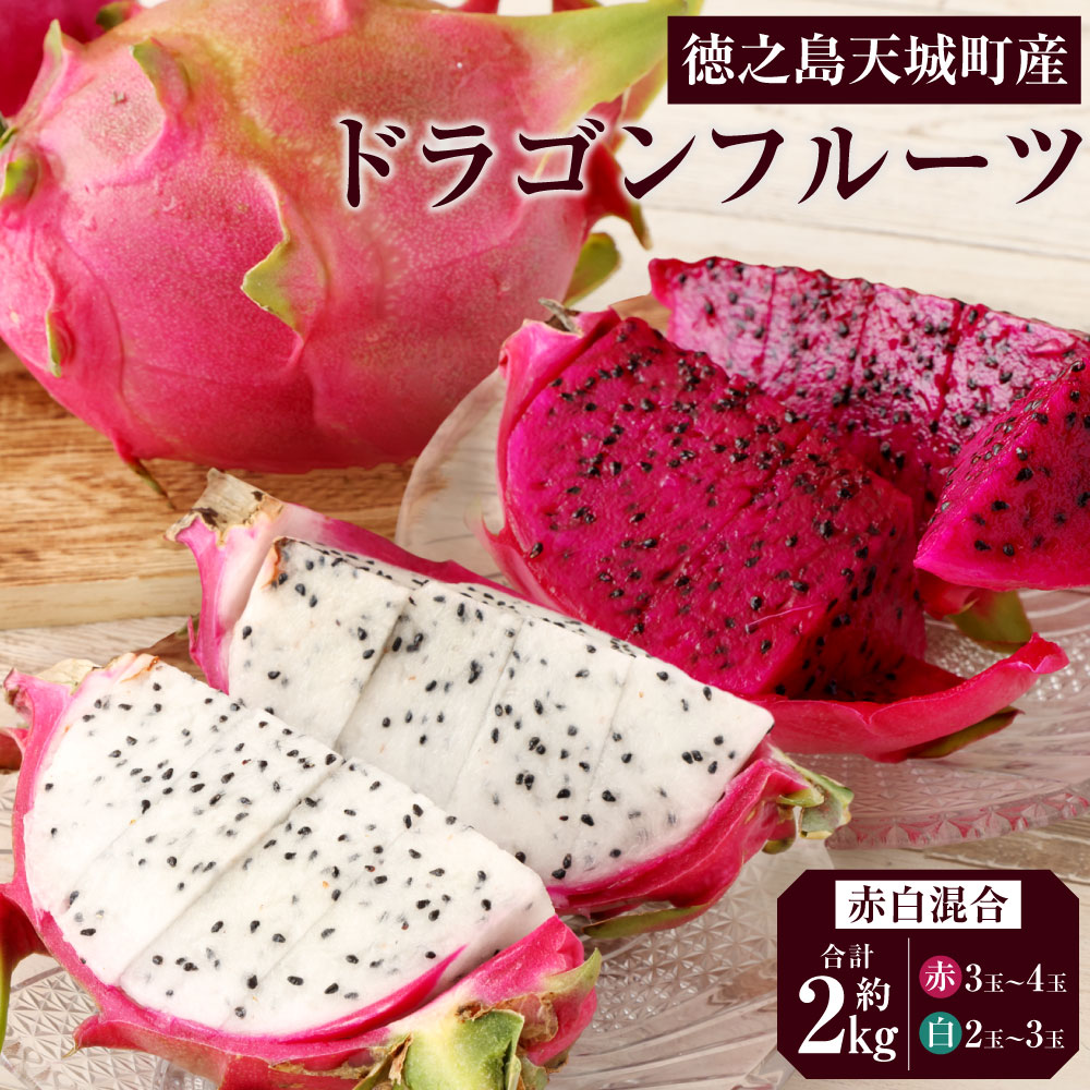 楽天市場】【ふるさと納税】【2026年発送】徳之島 天城町産 ドラゴン