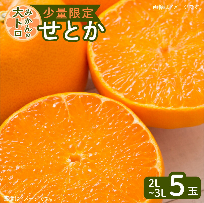 楽天市場】【ふるさと納税】令和5年4月30日までの申込限定 せとか 5玉