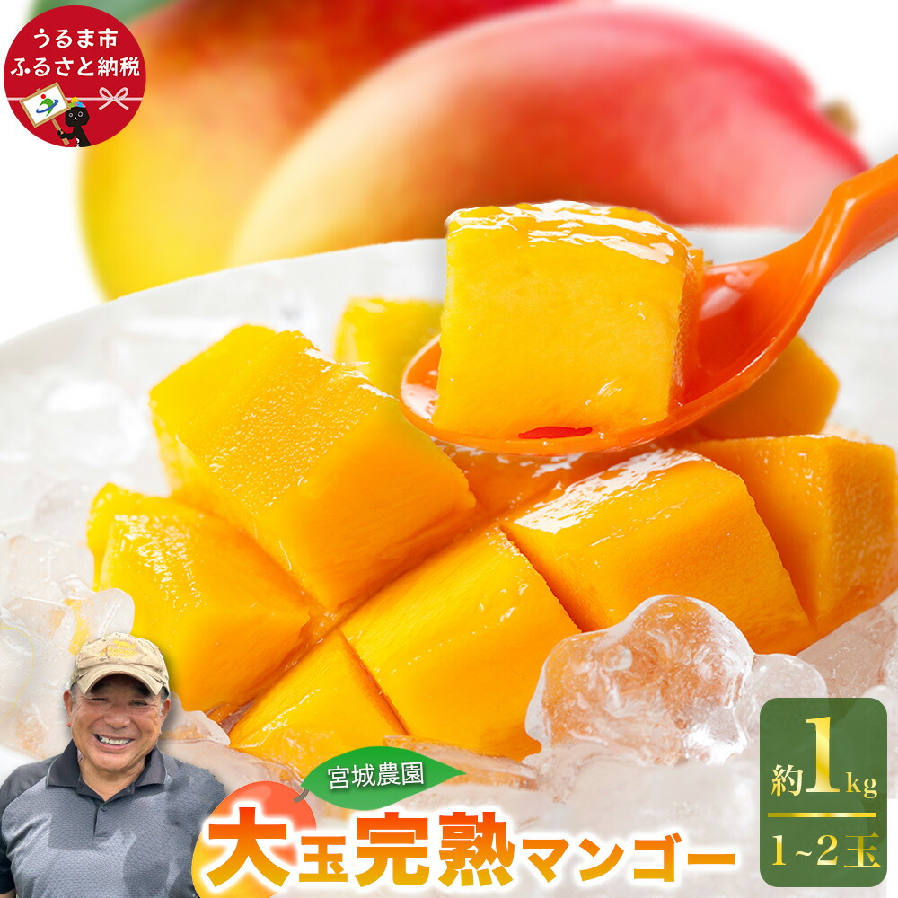 楽天市場】【ふるさと納税】宮城農園の完熟マンゴー 約1kg（1-2玉