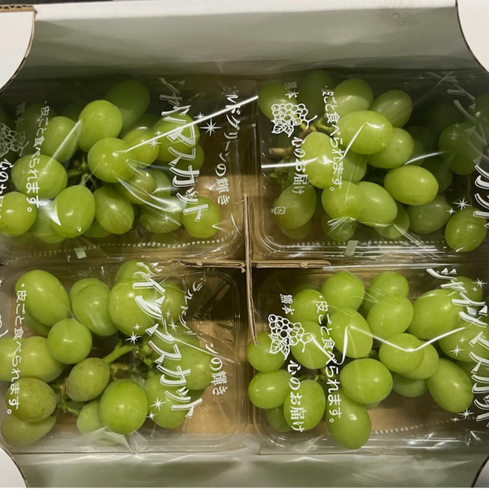 楽天市場】シャインマスカット 1パック約300g×4パック入り 訳あり 熊本